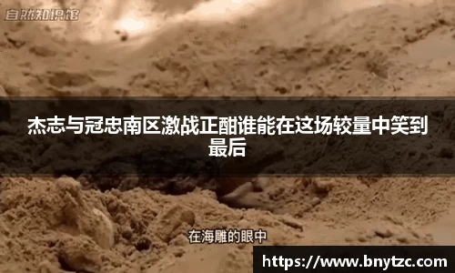 易游体育