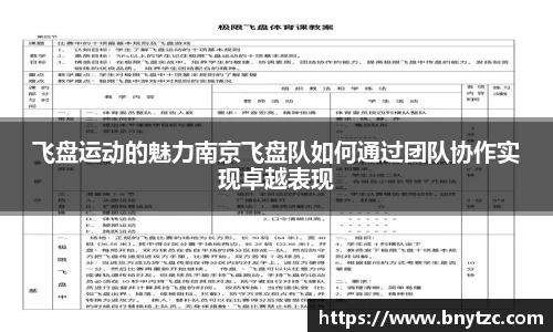 飞盘运动的魅力南京飞盘队如何通过团队协作实现卓越表现