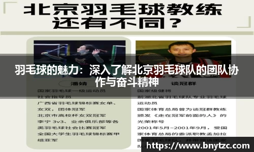 易游体育