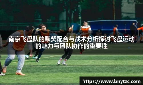 南京飞盘队的默契配合与战术分析探讨飞盘运动的魅力与团队协作的重要性